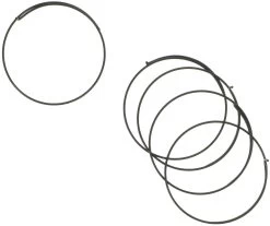 Campagnolo® Sperrklinkenfedern Für Record Nabe / Laufräder Ab 1999