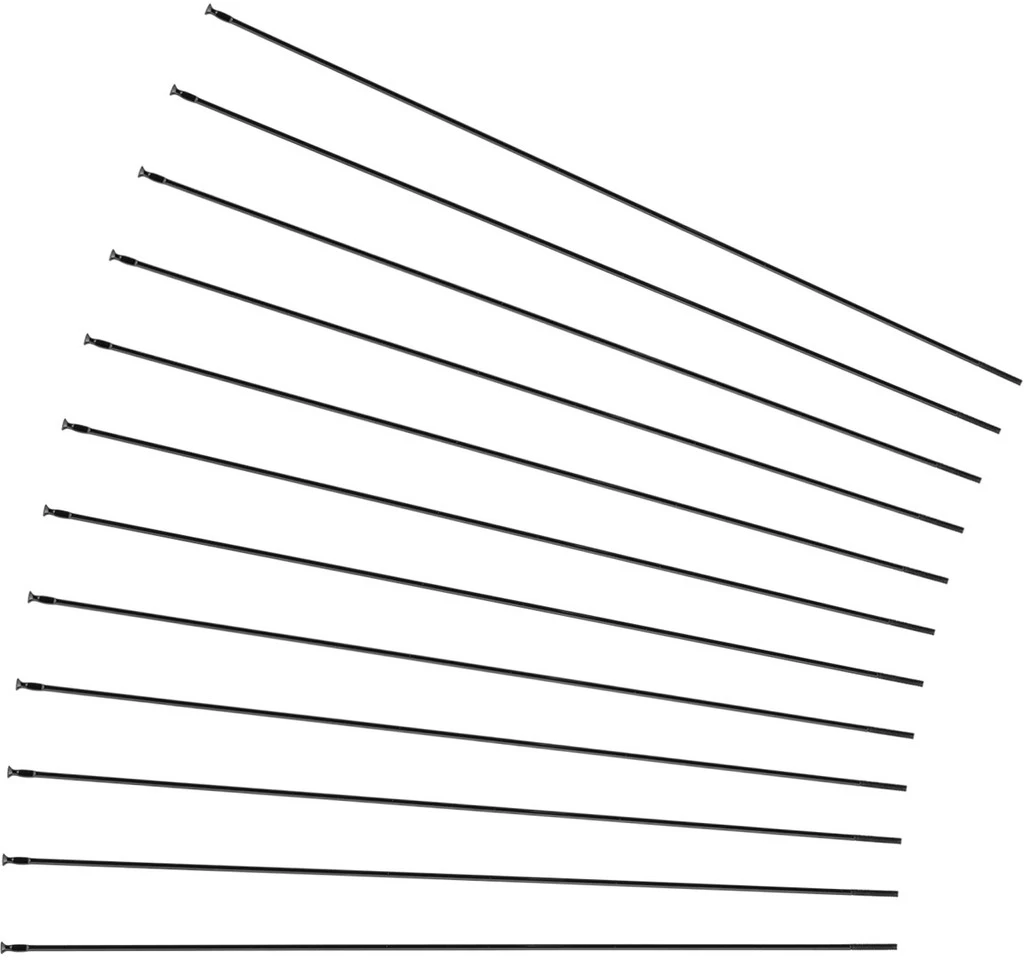 Mavic Crossride FTS-X 29" Ersatzspeichen Ab Modell 2016 1 Mavic Crossride FTS-X 29" Ersatzspeichen Ab Modell 2016