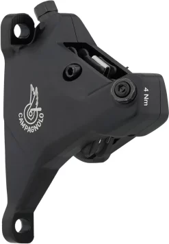 Campagnolo® Record Scheibenbremse 12s Hydr. Ergopower Schalt-/Bremsgriff 2021 -Fahrradzubehör 422627