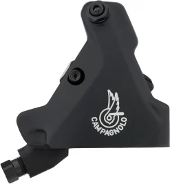 Campagnolo® Record Scheibenbremse 12s Hydr. Ergopower Schalt-/Bremsgriff 2021 -Fahrradzubehör 422642